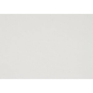 BISON – Pure white 03-01