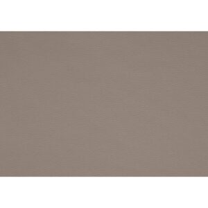 BISON – Taupe 710