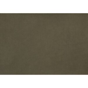 EVITA – Olive
