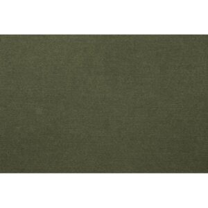 OLYMPIA – Clean olive 751