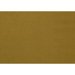 OLYMPIA – Clean mustard 520