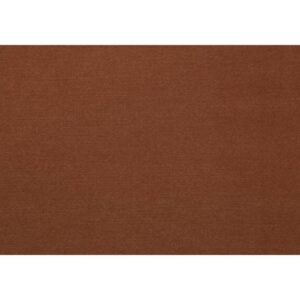 OLYMPIA – Clean terra 511