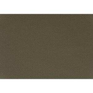 PUNCH – Olive