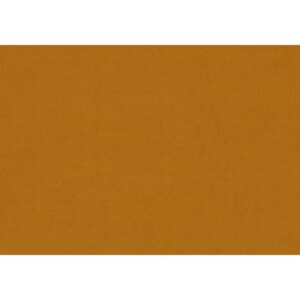 RIVIERA – Gold 41