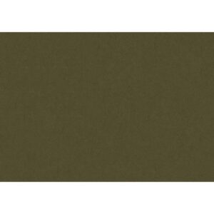 RIVIERA – Olive 77
