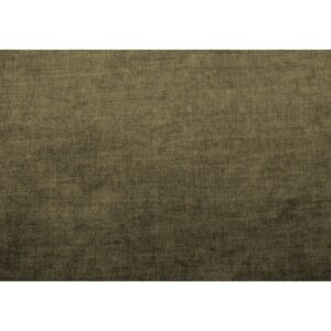 COSY – Olive