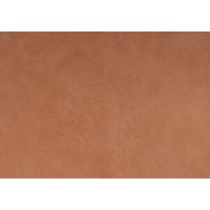 EVITA – Apricot